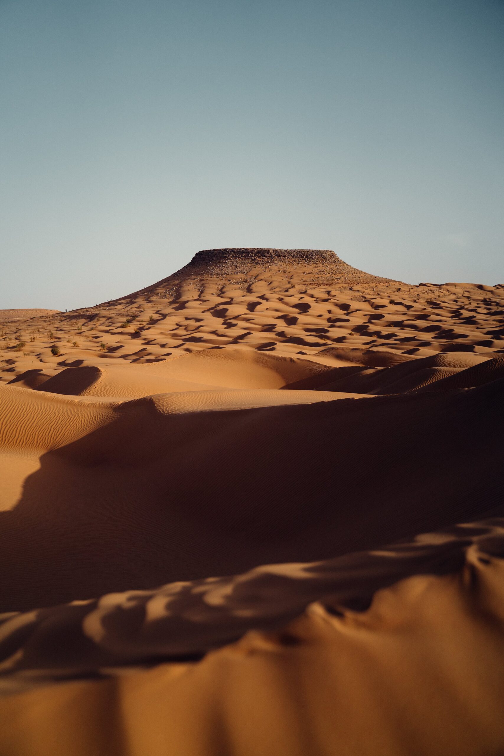 Vast golden sand dunes under a clear blue sky in the Sahara Desert, Tunisia.