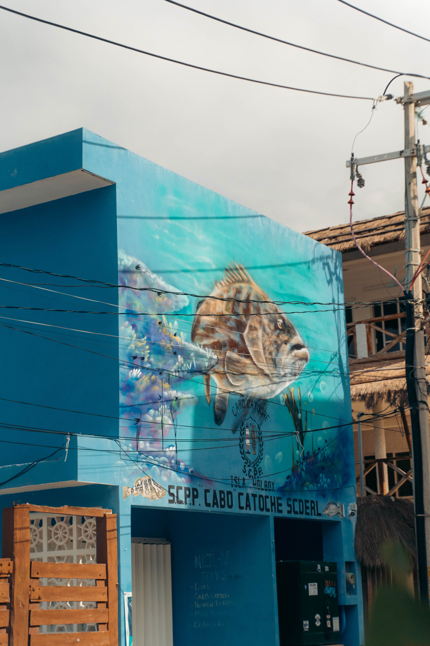 Colorful fish street art opposite Hotel Holmar in Holbox.
