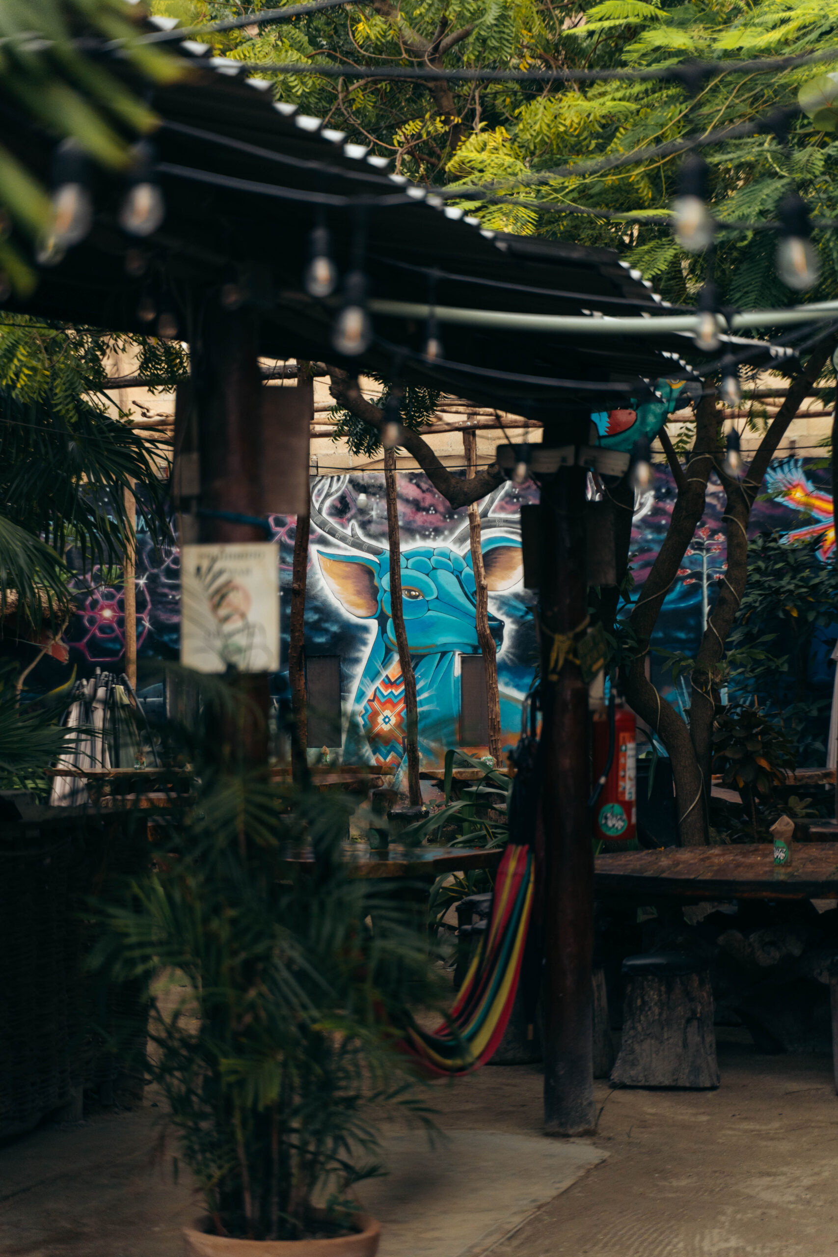 Exterior and interior murals at Roots Pizza a la Leña in Holbox.